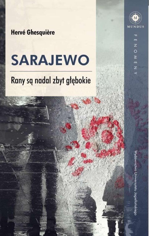 Sarajewo Rany są nadal zbyt głębokie Sarajewo Rany są nadal zbyt głębokie