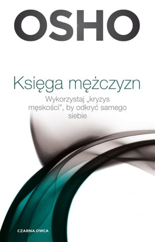 Księga mężczyzn. Wykorzystaj kryzys męskości..