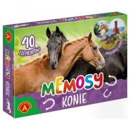 Memosy - konie ALEX