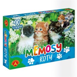 Memosy - koty ALEX
