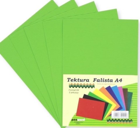 Tektura A4 falista zielone jabłuszko 5szt