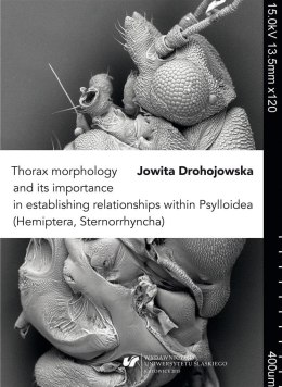 Thorax morphology and its importance...