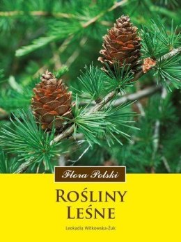 Flora Polski. Rośliny leśne