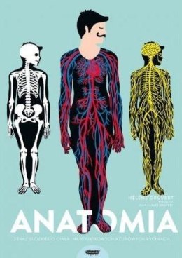 Anatomia. Obraz ludzkiego ciała...