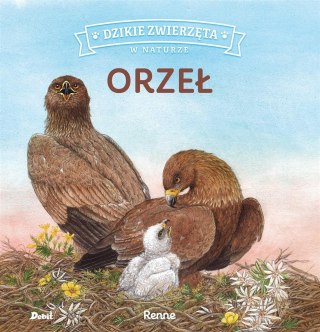 Dzikie zwierzęta w naturze. Orzeł