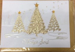 Karnet Boże Narodzenie B6 Premium 5 + koperta