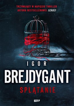 Splątanie Igor Brejdygant