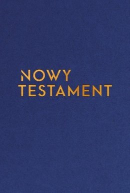 Nowy Testament z infografikami 14x19,5cm w.złota