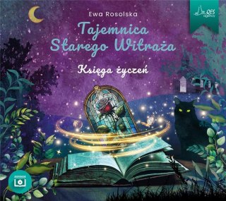 Tajemnica Starego Witraża. Księga życzeń audiobook