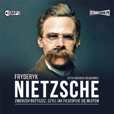 Zmierzch bożyszcz.. audiobook