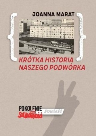 Krótka historia naszego podwórka