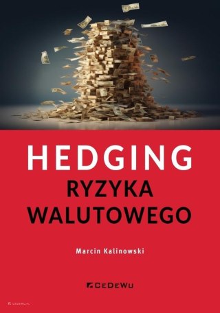 Hedging ryzyka walutowego