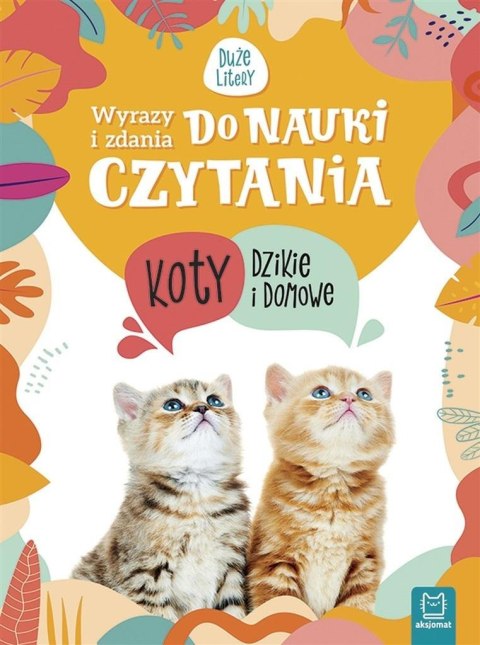 Wyrazy i zdania do nauki czytania Koty dzikie i..