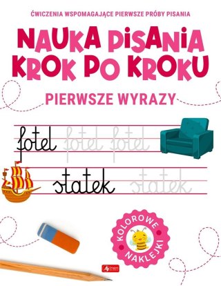 Nauka pisania krok po kroku. Pierwsze wyrazy