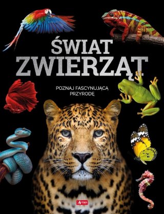 Świat zwierząt