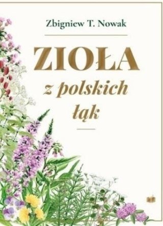 Zioła z polskich łąk