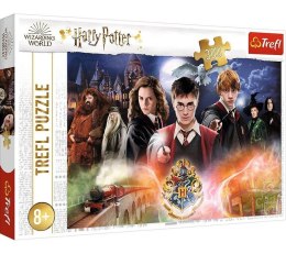 Puzzle 300 Tajemniczy Harry Potter TREFL