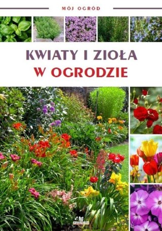 Mój ogród. Kwiaty i zioła w ogrodzie