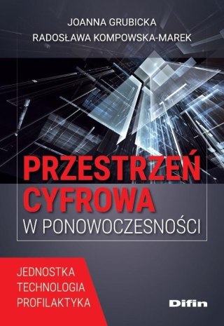 Przestrzeń cyfrowa w ponowoczesności