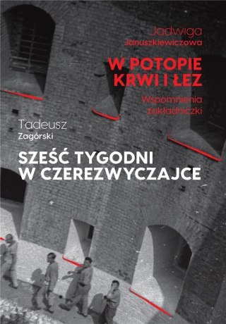 W potopie krwi i łez