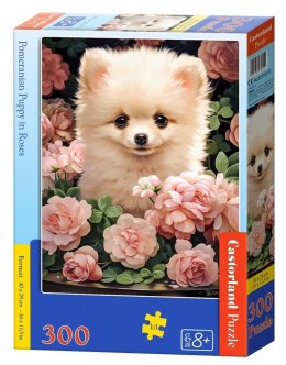 Puzzle 300 Pomeranian Puppy in Roses CASTOR