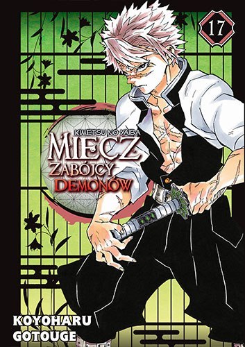 Miecz zabójcy demonów. Tom 17 Miecz zabójcy demonów. Tom 17
