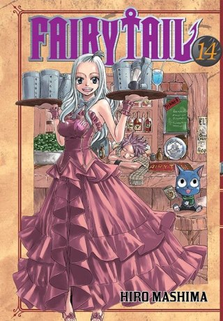 Fairy Tail. Tom 14