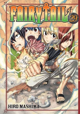 Fairy Tail. Tom 29