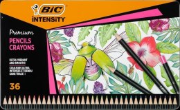Kredki ołówkowe Intensity Premium 36 kolorów BIC