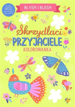 Błysk i blask. Skrzydlaci przyjaciele