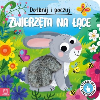 Dotknij i poczuj. Zwierzęta na łące.