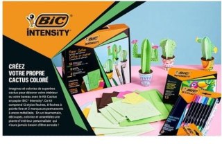 Zestaw Intensity Paper Cactus BIC