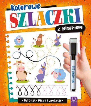 Kolorowe szlaczki z pisakiem Piszę i zmazuję 5 lat