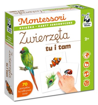 Zwierzęta tu i tam. Kapitan Nauka. Montessori. Karty sensoryczne