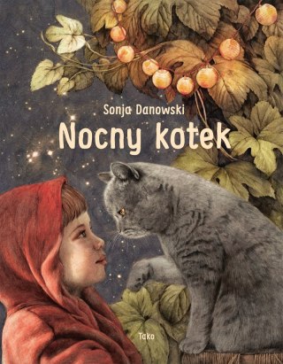 Nocny kotek