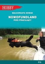 Nowofundland pies pracujący