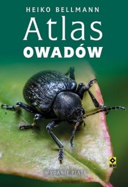 Atlas owadów w.5