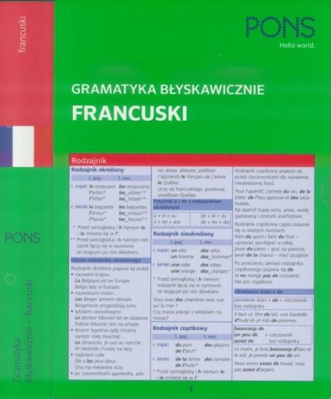 Gramatyka błyskawicznie. Francuski PONS