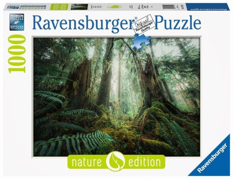 Puzzle 1000 Lasy