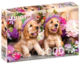 Puzzle 1000 Szczenięta rasy Cocker Spaniel