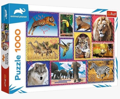 Puzzle 1000 Dzika natura Discovery Animal Planet