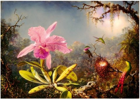 Puzzle 1000 Orchidea Cattleya i trzy kolibry