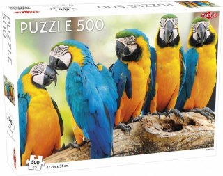 Puzzle 500 Animal: Parrots