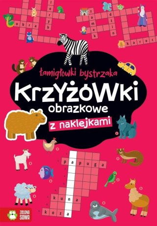 Łamigłówki bystrzaka. Krzyżówki obrazkowe