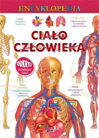 Encyklopedia. Ciało człowieka