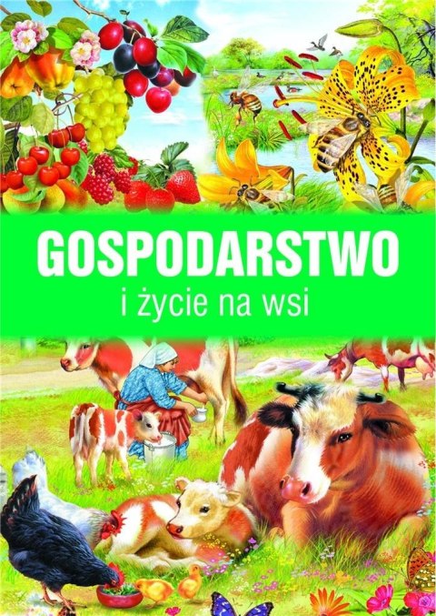 Gospodarstwo i życie na wsi Gospodarstwo i życie na wsi