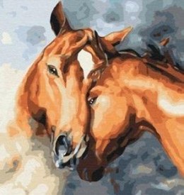 Malowanie po numerach - Czułość koni