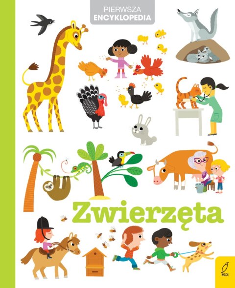 Zwierzęta. Pierwsza encyklopedia