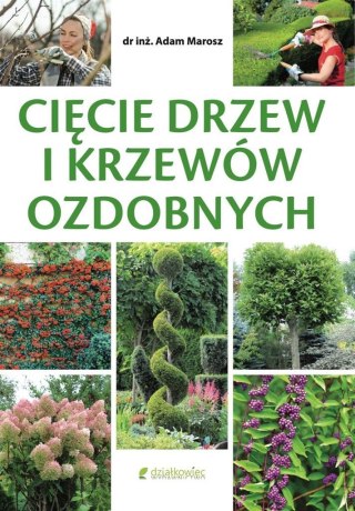 Cięcie drzew i krzewów ozdobnych