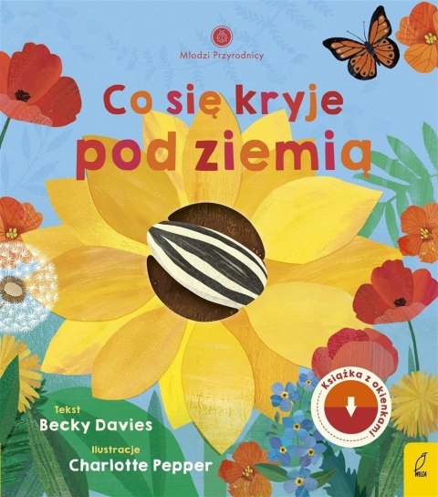 Młodzi przyrodnicy. Co się kryje pod ziemią